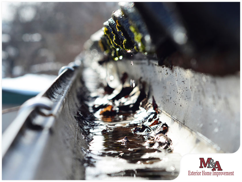 Clogged Gutters Why Stagnant Gutter Water is Dangerous